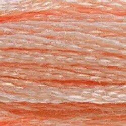 DMC 6-Strand Embroidery Floss-353 (ballet slippers)