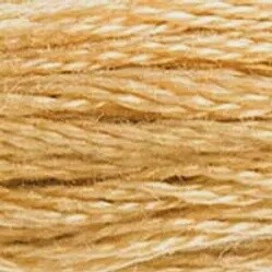 DMC 6-Strand Embroidery Floss-422 (light oak)