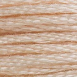 DMC 6-Strand Embroidery Floss-3774 (linen)