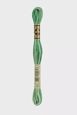 DMC 6-Strand Variegated Embroidery Floss-125 (croquet lawn)