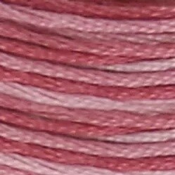 DMC 6-Strand Variegated Embroidery Floss-099 (berry smoothie)