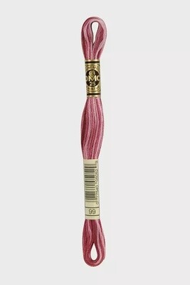 DMC 6-Strand Variegated Embroidery Floss-099 (berry smoothie)