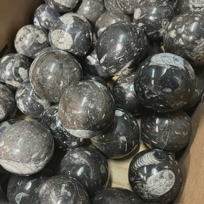 Orthoceras Fossil Crystal Sphere