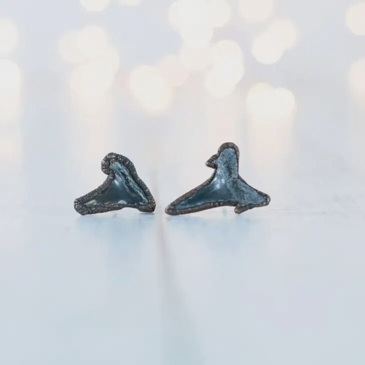 Shark Tooth Fossil Earrings