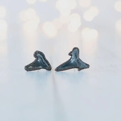 Shark Tooth Fossil Earrings