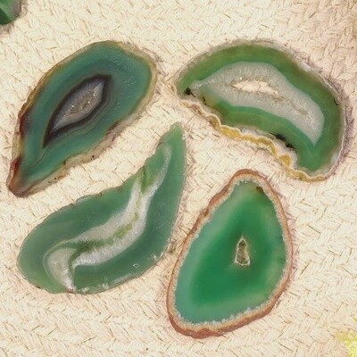 Green Agate Slice | 2-2.5in (Dyed)