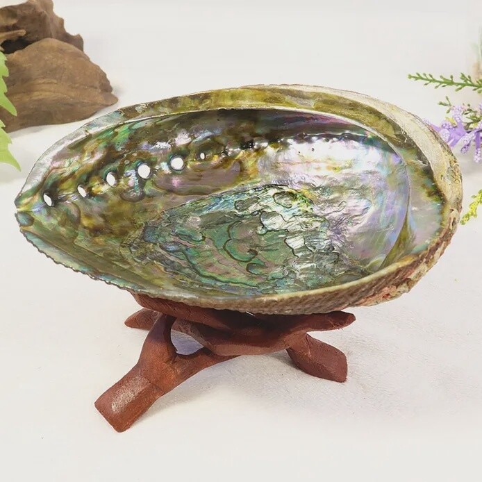 Abalone Shell Bowl, Size: L