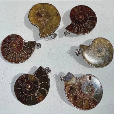 Ammonite Pendant (pendant only)