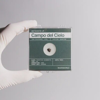 Campo del Cielo Meteorite in Collector Case