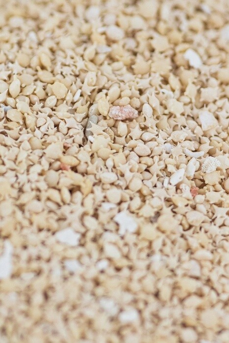 Japanese Star Sand
