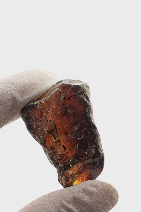 Sumatran Amber