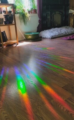 CFS Rainbow Maker Sticker