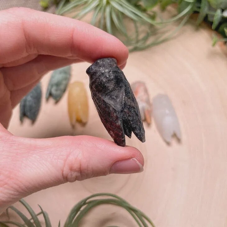 Crystal Cicada | Garnet in Astrophyllite