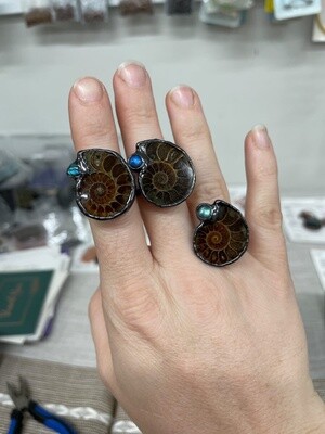 Ammonite Fossil and Labradorite Ring