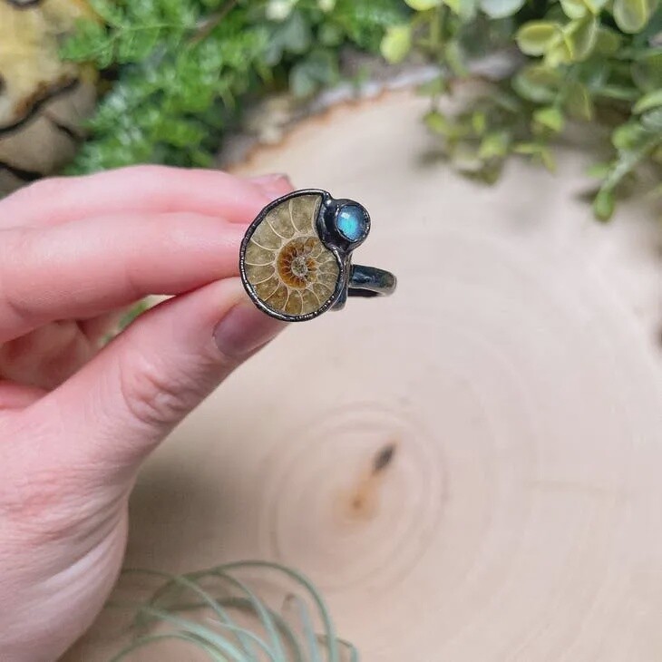 Ammonite Fossil and Labradorite Ring