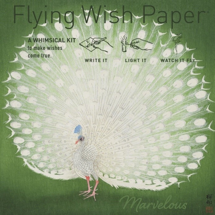 PEACOCK / Mini kit w 15 Wishes + access.