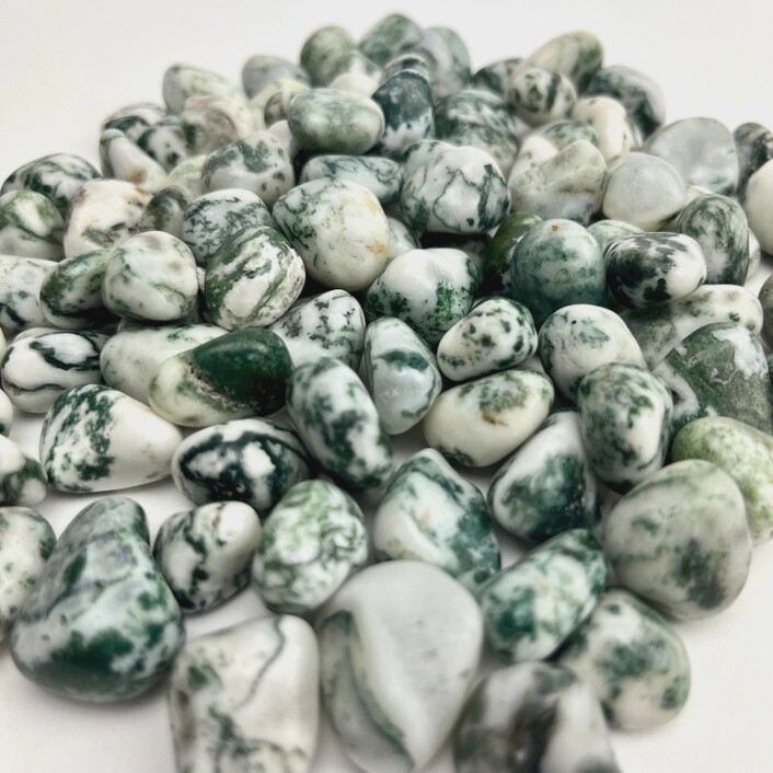Tree Agate Tumble Stone