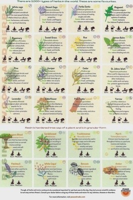 QuickStudy Guide 2.0 - Herbs
