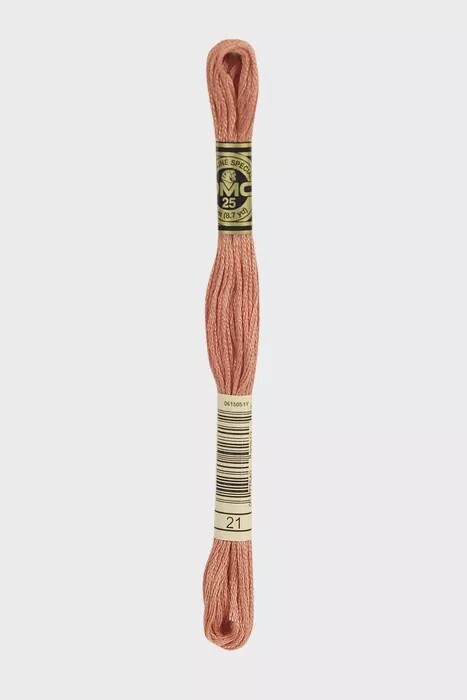 DMC 6-Strand Embroidery Floss-021 (prosciutto)