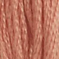 DMC 6-Strand Embroidery Floss-021 (prosciutto)