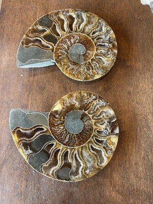 Ammonite Polished Half (by kg)