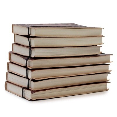 Medium Size Vegetable-Tanned Leather Notebook (~6x8in)