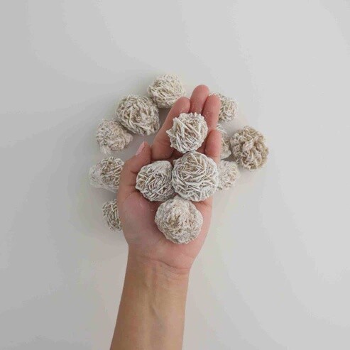 Desert Rose Selenite Cluster, Size: M