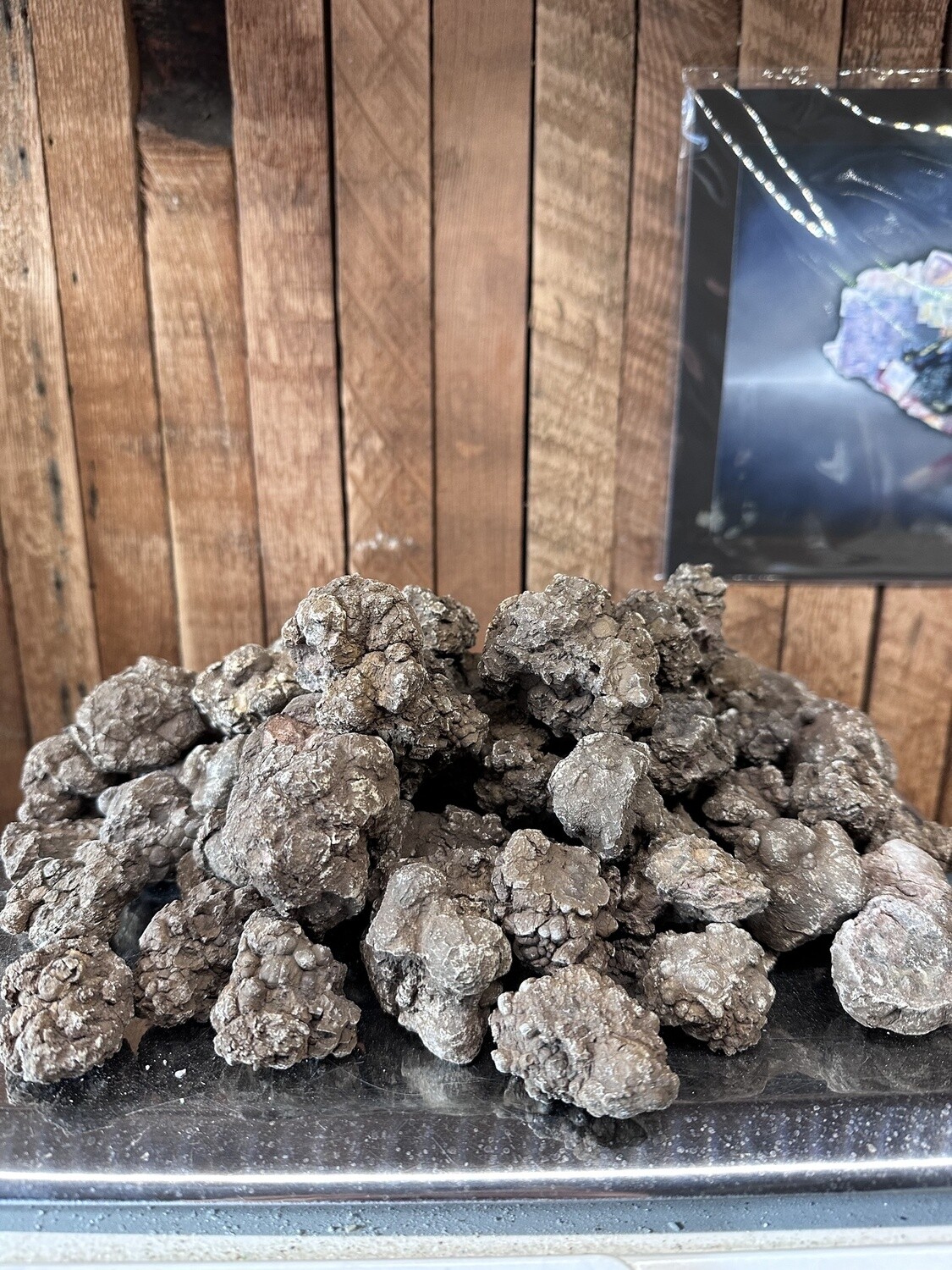 Coprolite w Barite and rare earth AZ (by kg)