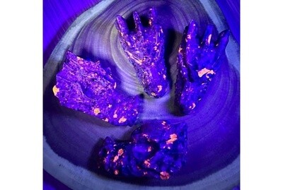 Large Yooperlite Dragon Skull