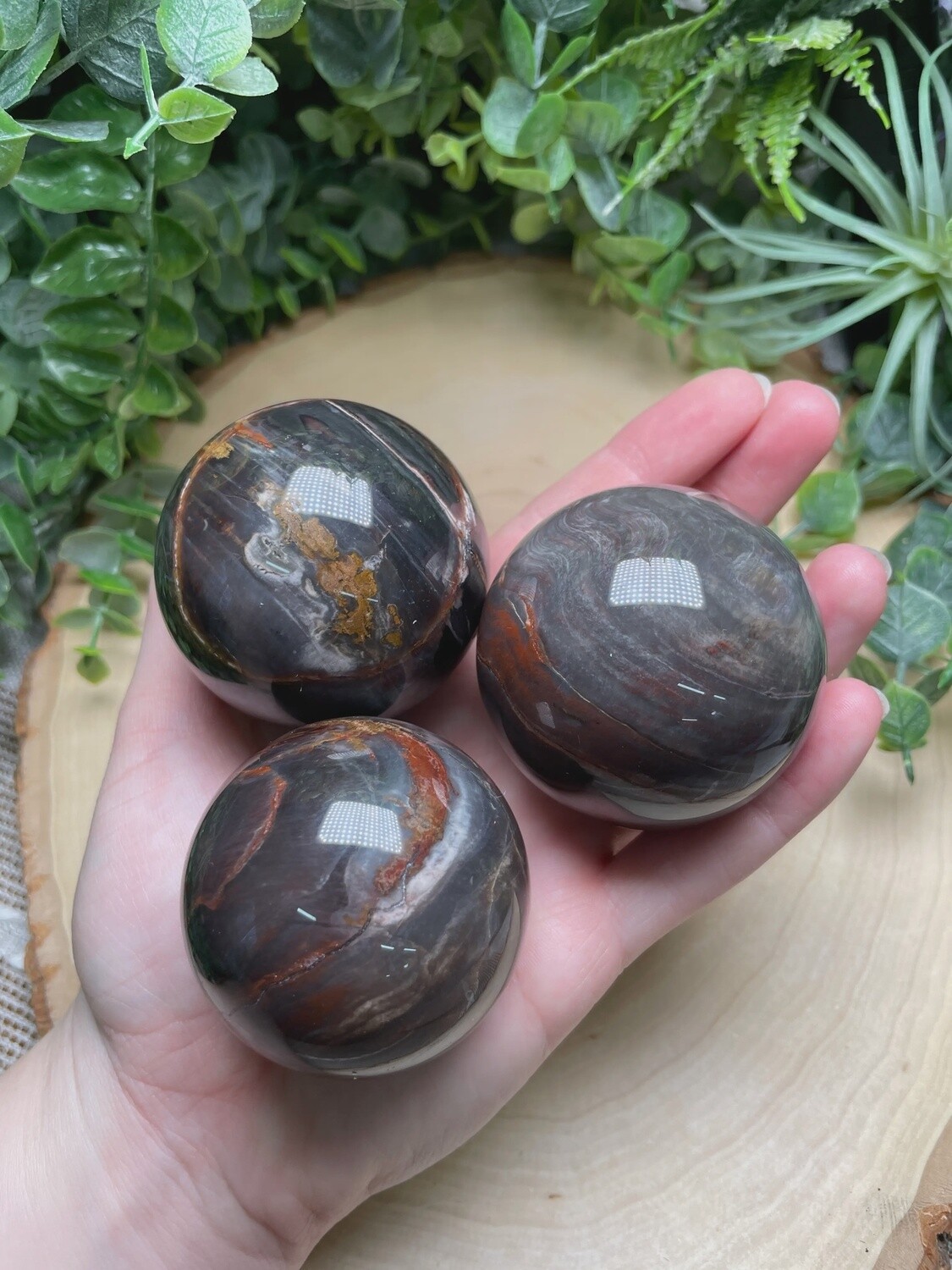 Petrified Wood Sphere, Size: S