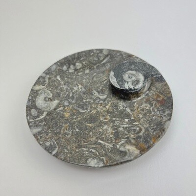 100mm Round Fossil Dish with Ammonite Accent