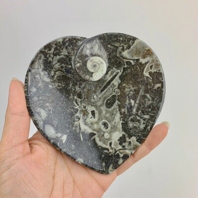 Fossil Heart dish with Ammonite on side 100 mm Black