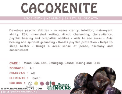 Amethyst w/ Cacoxinite Collector piece