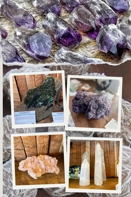 Specimens by Type