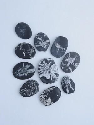 Chrysanthemum Stone Palmstone