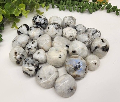 Rainbow Moonstone Tumble Stone | B grade