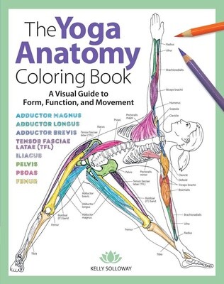 The Yoga Anatomy Coloring Book | A Visual Guide to Form, Function, and Movement