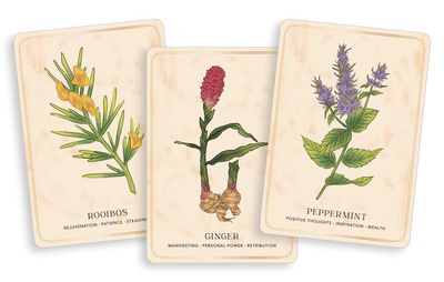 The Herbal Tea Magic for the Modern Witch Oracle Deck