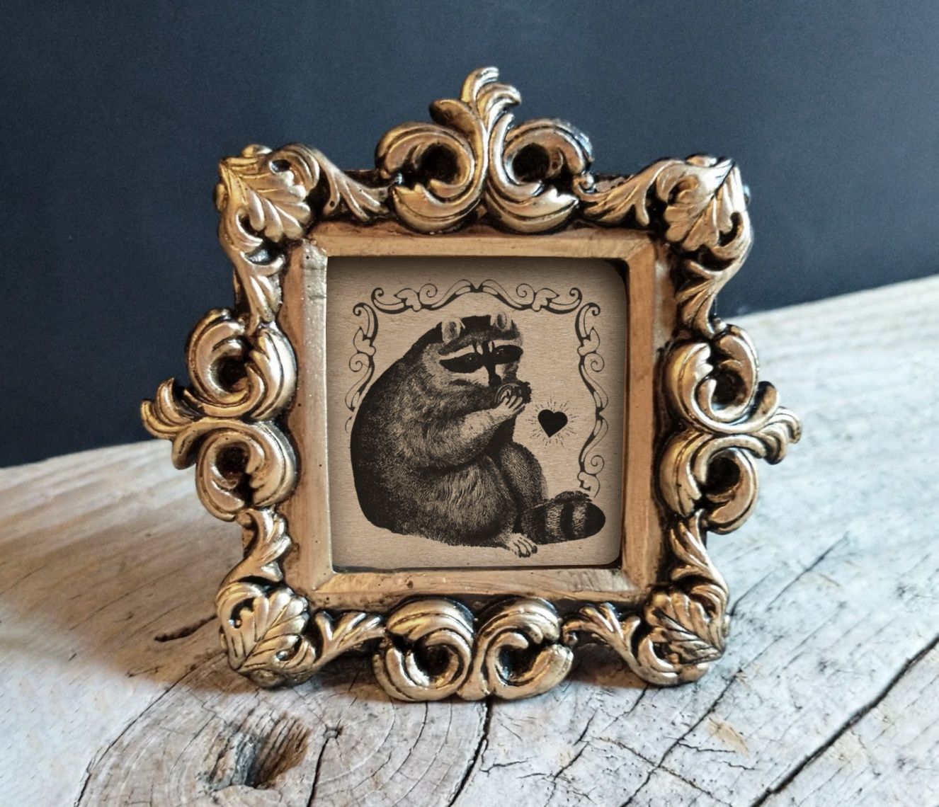 Mini Vintage Framed Print - Raccoon