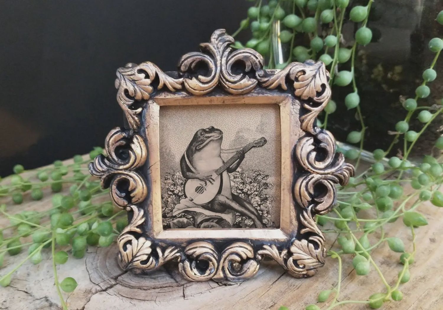 Mini Vintage Framed Print - Frog