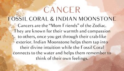6mm Bead Cancer Zodiac Bracelet Fossil Coral and Indian Moonstone