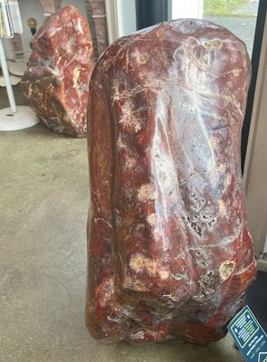 Red Jasperized Petrified Wood Freeforms (Pair)