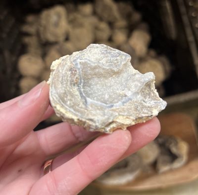 BYO Dugway Geode (by kg) | Utah