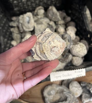 BYO Dugway Geode (by kg) | Utah