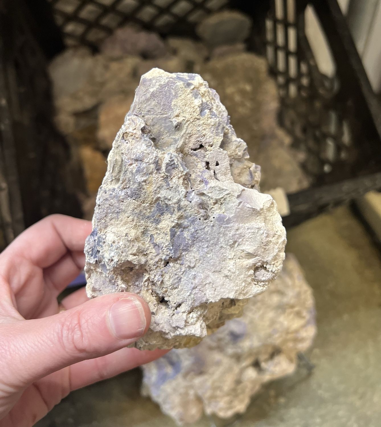 Calico Tiffany Stone (by kg) | Utah