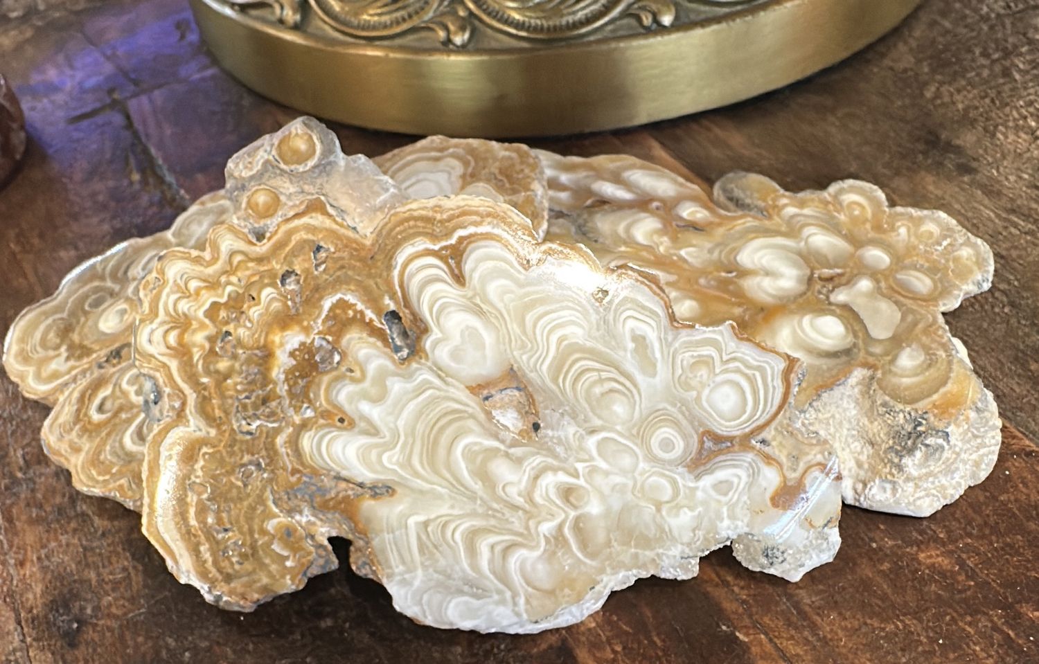 Aragonite var Travertine Polished Slab
