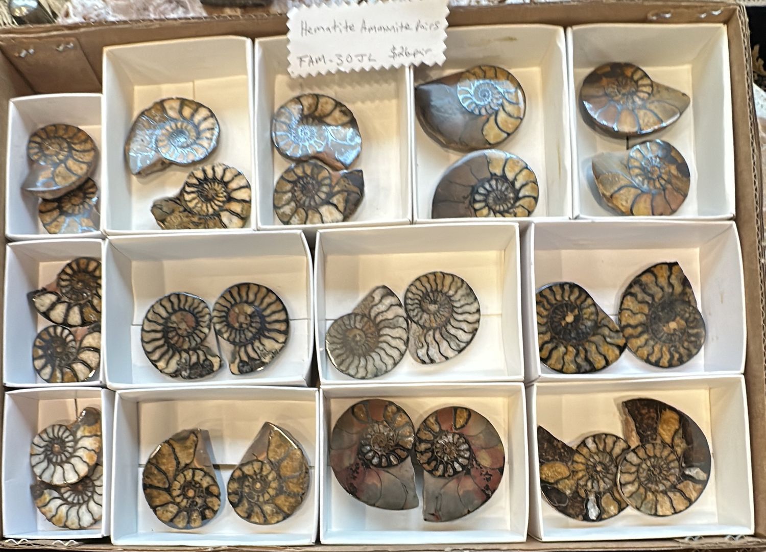 Hematite Ammonite Cut Pair