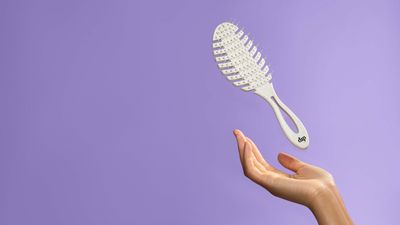 Dip Wheat Straw Hair Brush