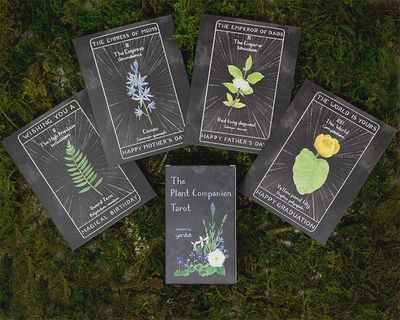 Tarot Over The Moon For You Greeting Card