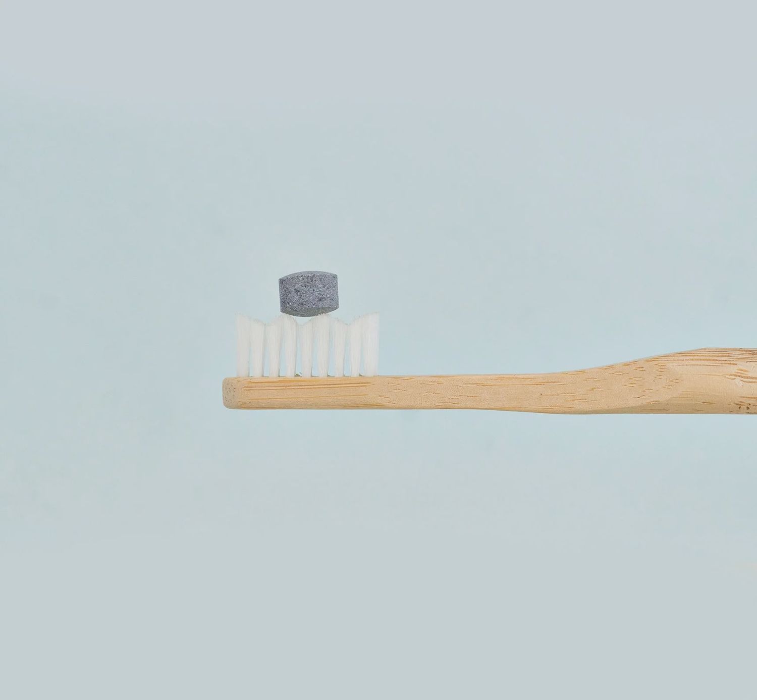 Fluoride-Free Toothpaste Tablets | Charcoal Mint (by oz)